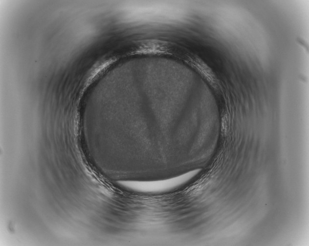 X0000096730724200802261452