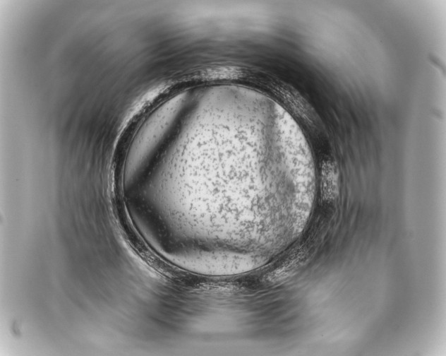 X0000096730726200802261452