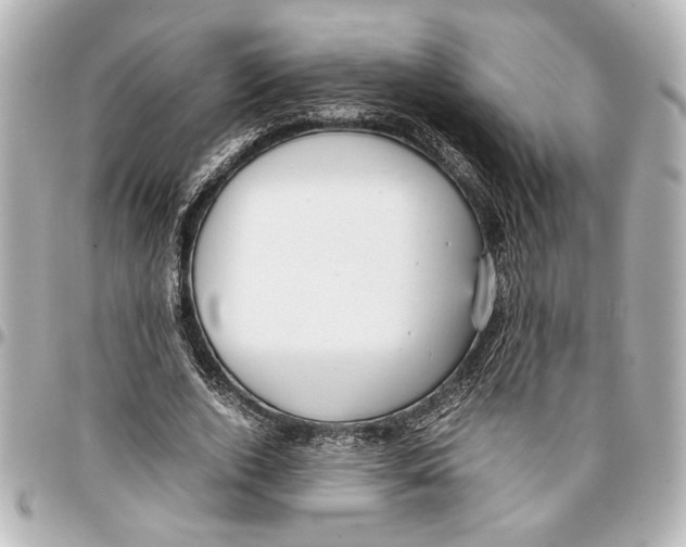 X0000096730728200802261452