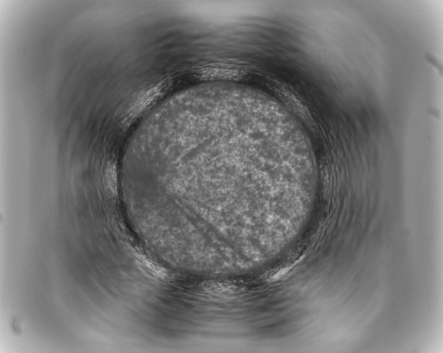 X0000096730729200802261452