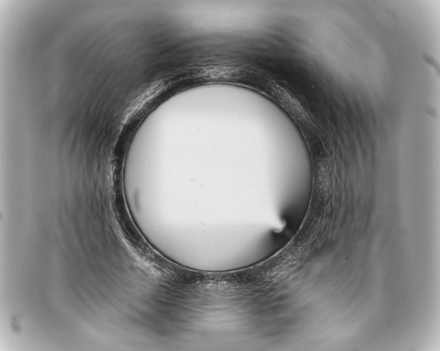 X0000096730730200802261452