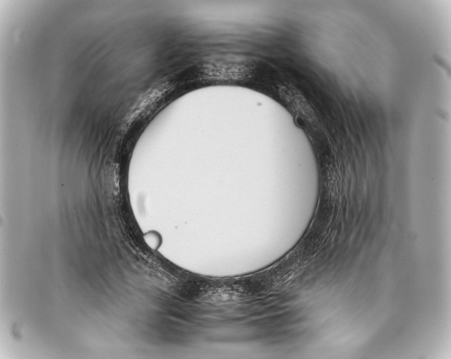 X0000096730731200802261452