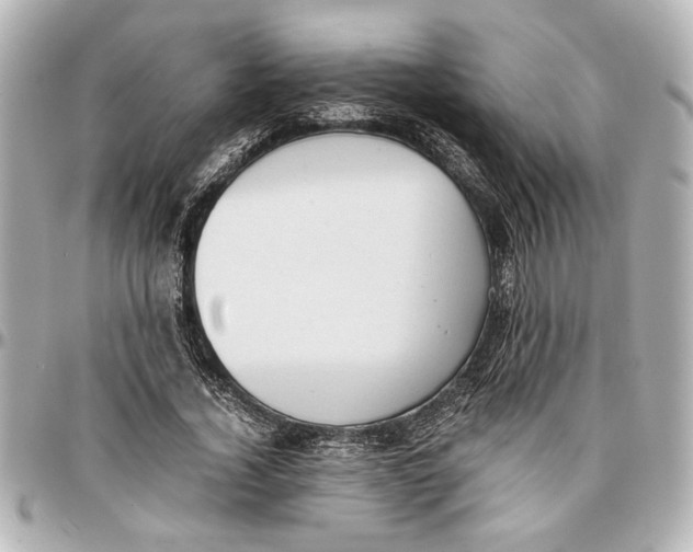 X0000096730732200802261452