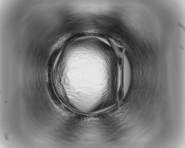 X0000096730734200802261452