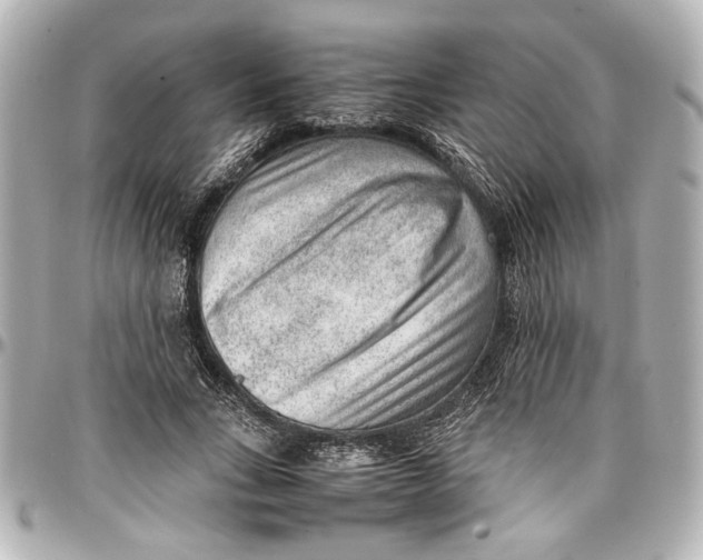 X0000096730735200802261452