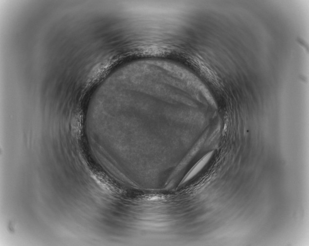 X0000096730736200802261452