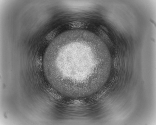 X0000096730737200802261452