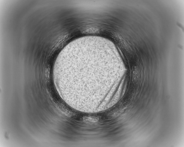 X0000096730739200802261452