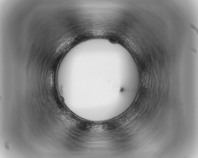 X0000096730740200802261452