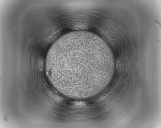 X0000096730741200802261452