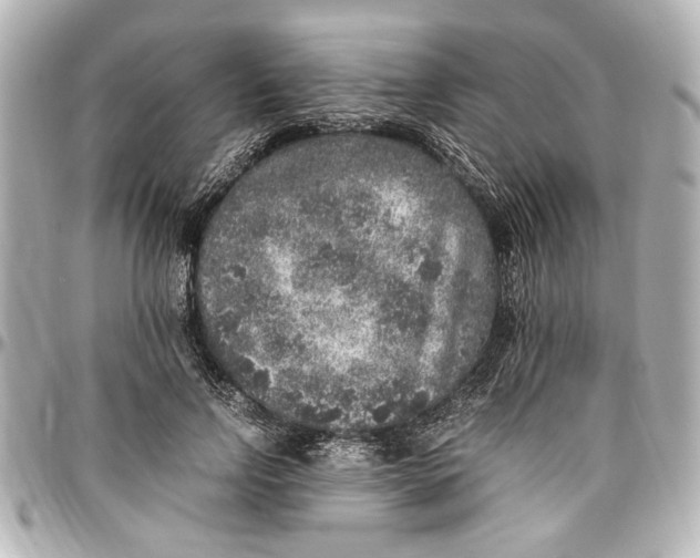 X0000096730742200802261452