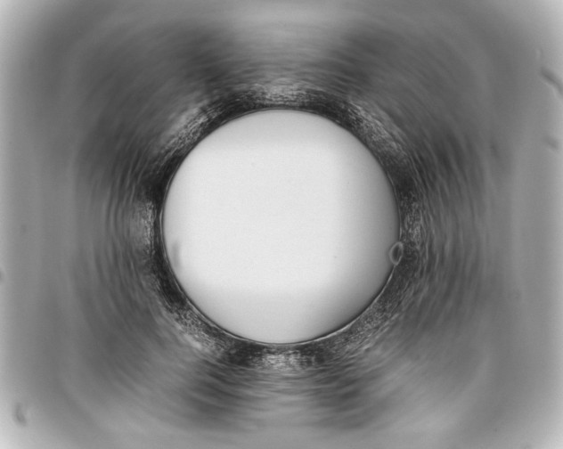 X0000096730744200802261452