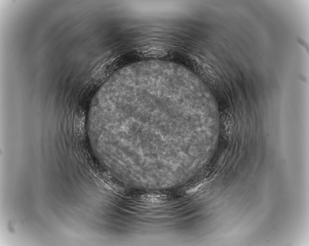 X0000096730745200802261452