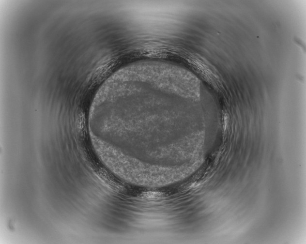 X0000096730748200802261452