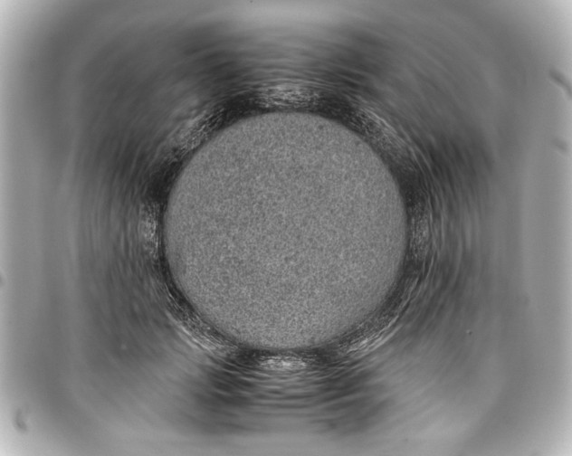 X0000096730749200802261452