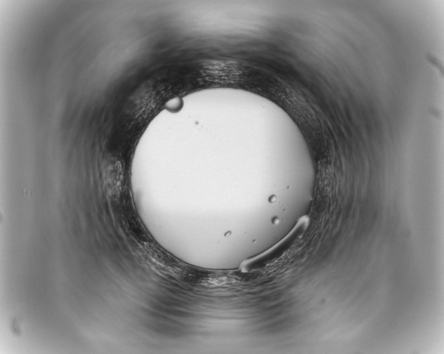 X0000096730752200802261453