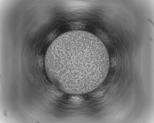 X0000096730753200802261453