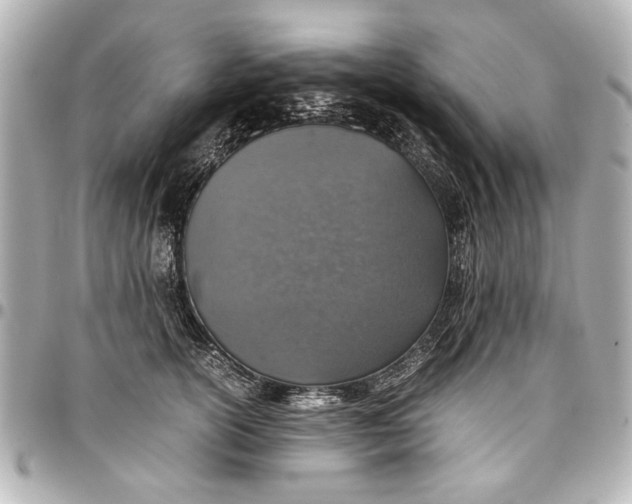 X0000096730754200802261453