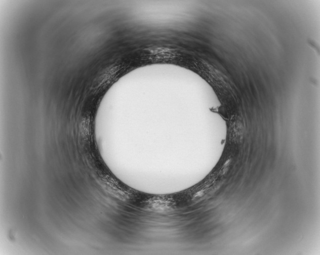 X0000096730756200802261453