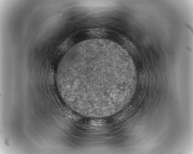 X0000096730757200802261453