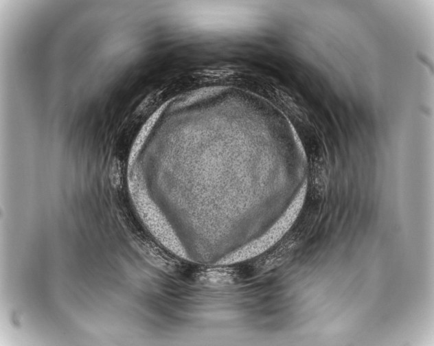 X0000096730758200802261453