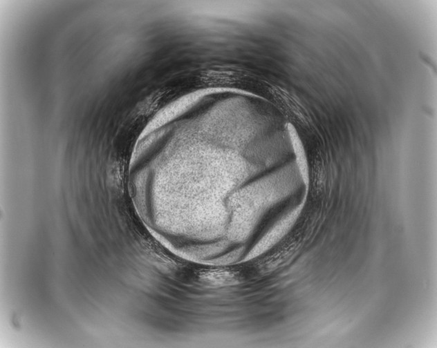X0000096730759200802261453