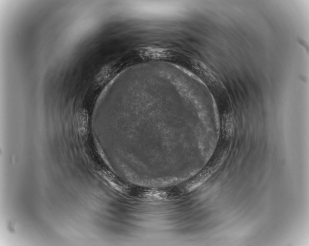 X0000096730760200802261453