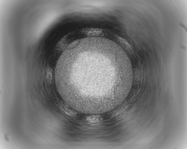 X0000096730761200802261453