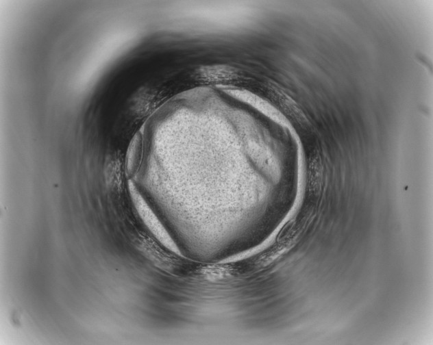 X0000096730762200802261453