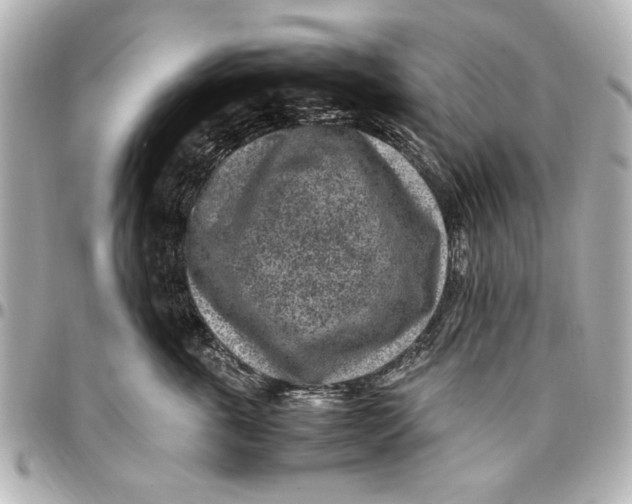 X0000096730763200802261453