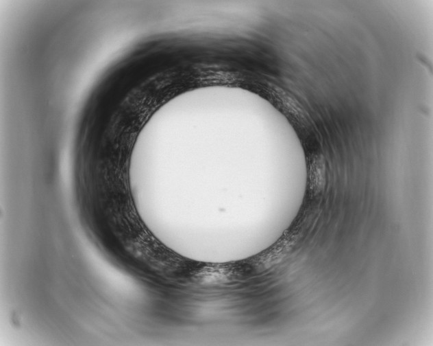 X0000096730764200802261453