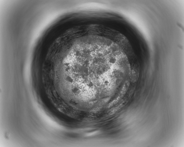 X0000096730765200802261453