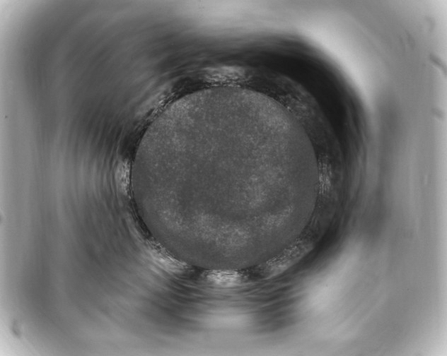 X0000096730767200802261453