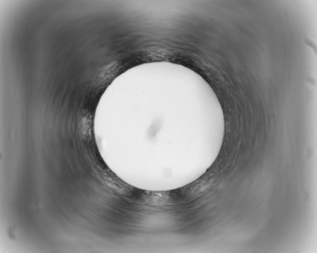X0000096730768200802261453