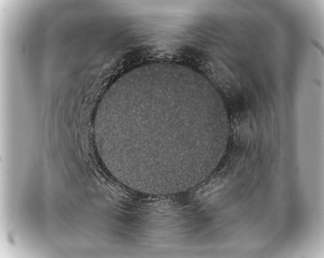 X0000096730769200802261452