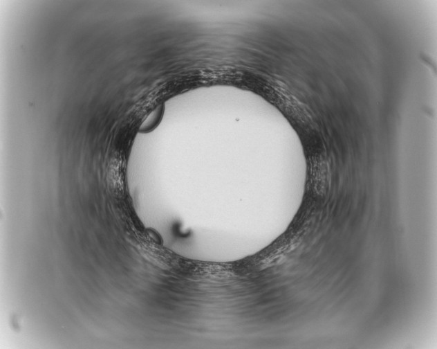 X0000096730770200802261452