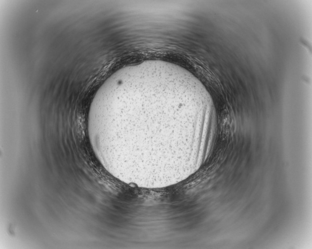 X0000096730772200802261452