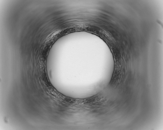 X0000096730773200802261452