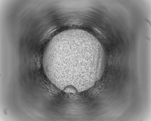 X0000096730774200802261452