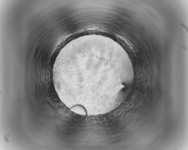 X0000096730776200802261452