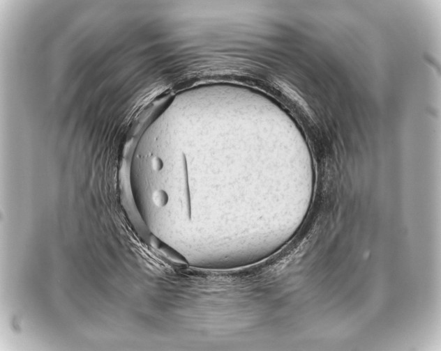 X0000096730777200802261452