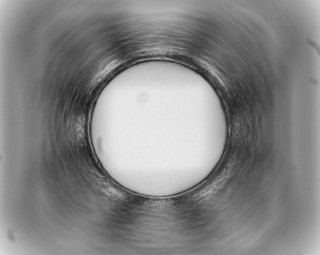 X0000096730778200802261452