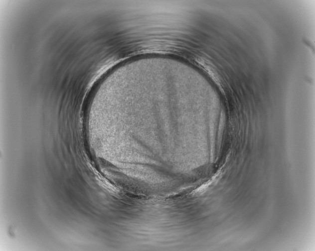 X0000096730779200802261452