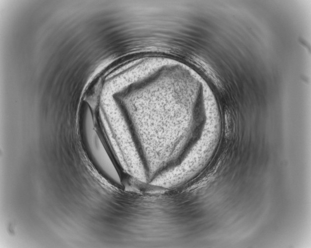 X0000096730780200802261452