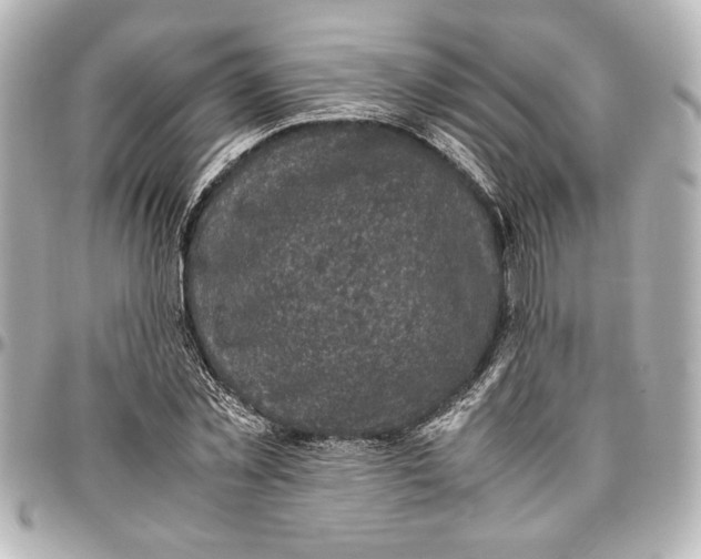 X0000096730781200802261452