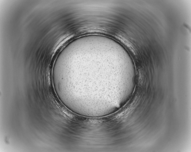 X0000096730782200802261452