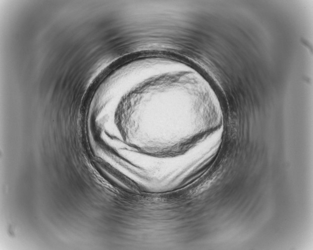 X0000096730783200802261452