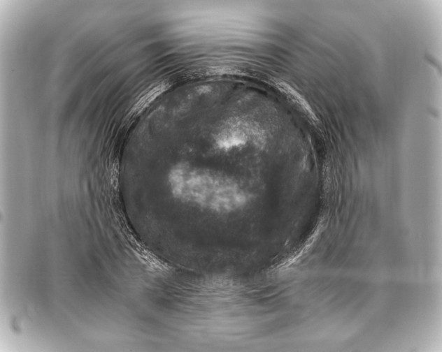 X0000096730785200802261452