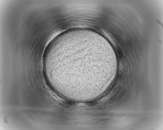 X0000096730787200802261452