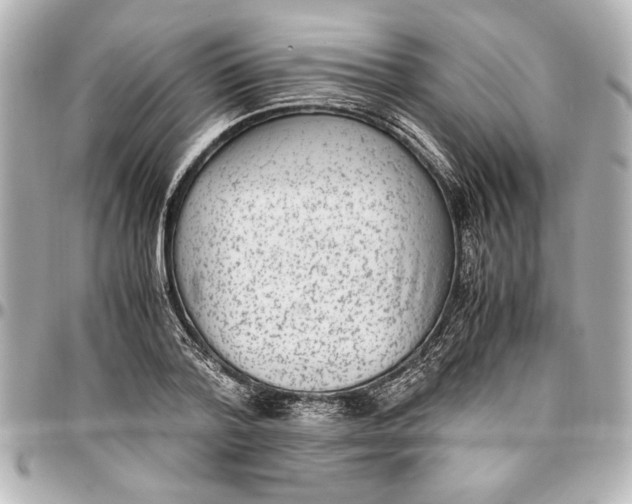 X0000096730788200802261452